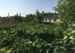 Продаж земельної ділянки комерційного призначення Вінницькі Хутори фото 12 Продаж земельної ділянки комерційного призначення Вінницькі Хутори фото 12
