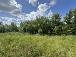 🌿 Продаж земельної ділянки 53 сотки | с. Лукашівка фото 16 🌿 Продаж земельної ділянки 53 сотки | с. Лукашівка фото 16
