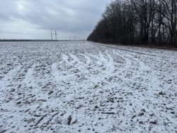 ������ ������ � ���������� ���� 4