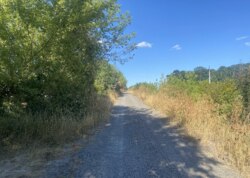 Продаж земельної ділянки сільськогосподарського призначення фото 4 Продаж земельної ділянки сільськогосподарського призначення фото 4