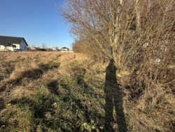 ������ ������ � ���������� ���� 11