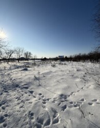 ������ �������� ������ �� ������� �������� �� ���. ������� ������������� ���� 14