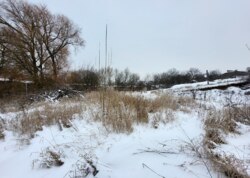 ������ �������� ������ � �������� ���� 15