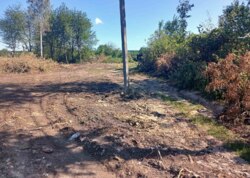 ������ �������� ������ ��������������������� ����������� ���� 1