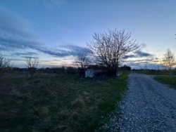 🌿 ������ �������� ������ 25 ����� �� �������� � �. г���� ���� 3