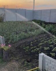 ������ �������� ������ �� ������� �������� ���� 2