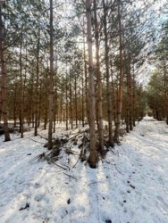 ������ �������� ������ ������ 4 ������� ��������������������� ����������� � ������� ������� ���� � �������� ���� 11