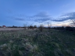 🌿 ������ �������� ������ 25 ����� �� �������� � �. г���� ���� 2