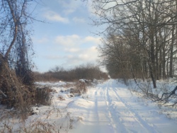 Продається ділянка в Агрономічному фото 1 Продається ділянка в Агрономічному фото 1