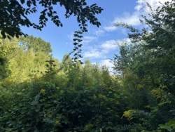 ĳ����� �������� ���� 1