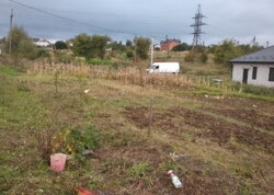 ������ �������� ������ �� ������� �������� ���� 4