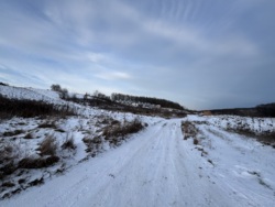 ������ �������� ������ � ������ �������� ���� 5