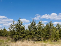 ĳ����� � ������� �������� ���� ���� 4