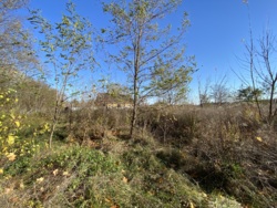 Продається земельна ділянка чудове місце для відпочинку або будівництва будинку вашої мрії! фото 5 Продається земельна ділянка чудове місце для відпочинку або будівництва будинку вашої мрії! фото 5