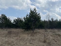 ������ ������ � �������� ���� 3