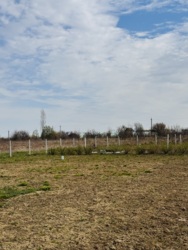 ĳ����� � ٳ���� ���� 12