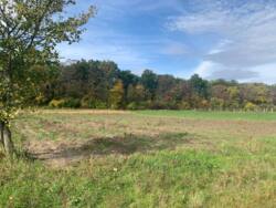 Продаж ділянки в с. Сосонка фото 8 Продаж ділянки в с. Сосонка фото 8