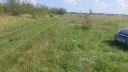 Продаж ділянки в Ксаверівці фото 8 Продаж ділянки в Ксаверівці фото 8