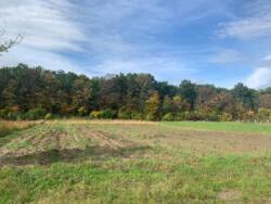 Продаж ділянки в с. Сосонка фото 7 Продаж ділянки в с. Сосонка фото 7