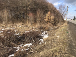 Земельна ділянка місто Вінниця. 25 соток. Перша лінія. фото 5 Земельна ділянка місто Вінниця. 25 соток. Перша лінія. фото 5