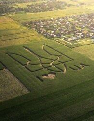 ������ �������� ������ �� ������� �������� �� ���. ���������� ���� 2