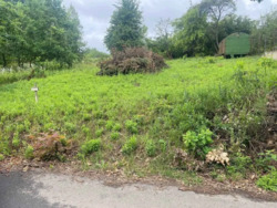 ������ ������ 5 �����, �� ��������. ���� 3