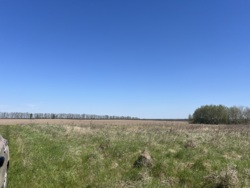 Ділянка в мальовничому місці фото 1 Ділянка в мальовничому місці фото 1