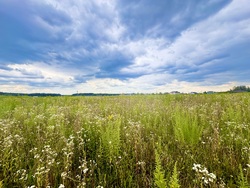 Продаж ділянки Якушинці фото 2 Продаж ділянки Якушинці фото 2