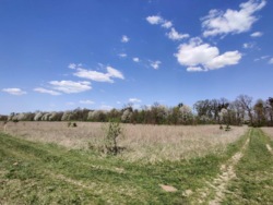 Продаж комерційноі ділянки в Ксаверівці. фото 5 Продаж комерційноі ділянки в Ксаверівці. фото 5