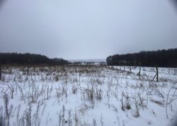 Продаж земельної ділянки сільськогосподарського призначення, на вул. Лесі Українки фото 5 Продаж земельної ділянки сільськогосподарського призначення, на вул. Лесі Українки фото 5