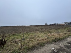 ������ �������� ������ �� ������� �������� ���� 12