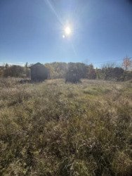 �������� ������ ��� ������ ���� 12