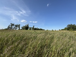 🌿 Продаж земельної ділянки зі зручним під'їздом! фото 3 🌿 Продаж земельної ділянки зі зручним під'їздом! фото 3