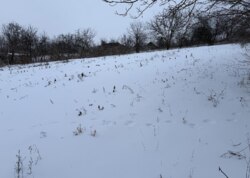 ������ �������� ������ �� ������� �������� �� ���. ������� ������������� ���� 4