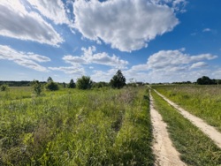 Ділянка в с.Лука Мелешківська фото 3 Ділянка в с.Лука Мелешківська фото 3