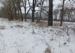 ������ �������� ������ ������������ ����������� ���� 4