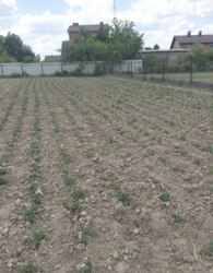 Продаж земельної ділянки під житлову забудову фото 4 Продаж земельної ділянки під житлову забудову фото 4