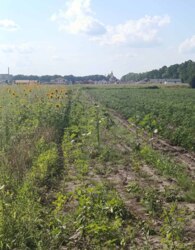 ������ �������� ������ �� ������� �������� ���� 2