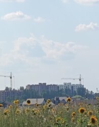 ������ �������� ������ �� ������� �������� ���� 3