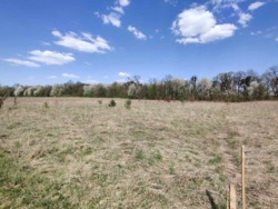 Продаж комерційноі ділянки в Ксаверівці. фото 4 Продаж комерційноі ділянки в Ксаверівці. фото 4