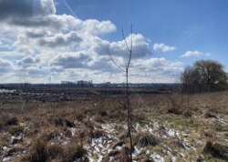 ������ �������� ������ �� ������� �������� �� ���� �������, ����� 1.4 �� ���� 9