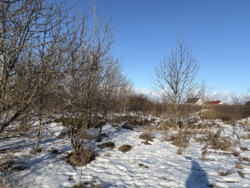 �������� ������ �� ���������� ���� 3