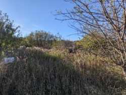 🏞    6     '' 🌿  6