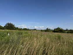 🌿 Продаж земельної ділянки зі зручним під'їздом! фото 2 🌿 Продаж земельної ділянки зі зручним під'їздом! фото 2