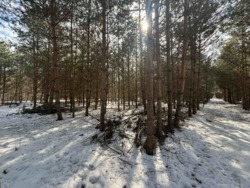 ������ �������� ������ ������ 4 ������� ��������������������� ����������� � ������� ������� ���� � �������� ���� 5