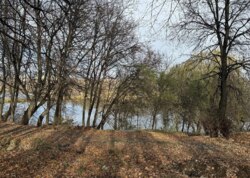 ������ �������� ������ �� ������� �������� ���� 4