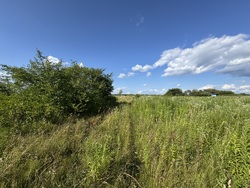 🌿 Продаж земельної ділянки в перспективному масиві, що активно розвивається! фото 3 🌿 Продаж земельної ділянки в перспективному масиві, що активно розвивається! фото 3