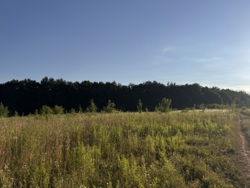 Ділянка Зарванці фото 5 Ділянка Зарванці фото 5