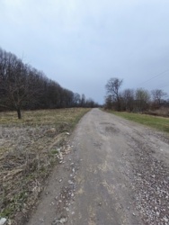 ĳ����� 30 ����� � �. ������� ���� 1