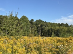 ĳ����� �������� ���� 8